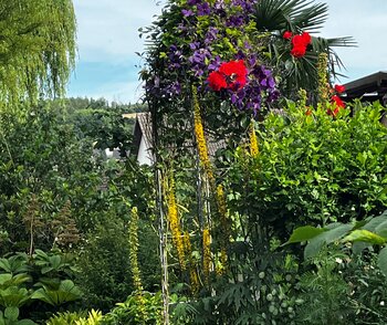 Der Garten von Roger Schriever