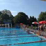 Jahrgangspokalschwimmfest und Kreismeisterschaft