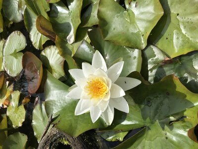 Garten der Biodiversität