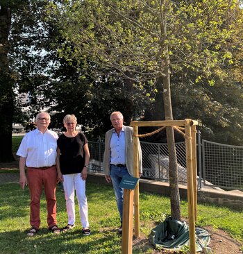 Sylvia und Heinz Rohe mit Bürgermeister Antonius Wiesemann an "ihrer" Eiche.