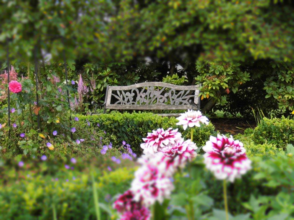 Willkommen in Neuenrade