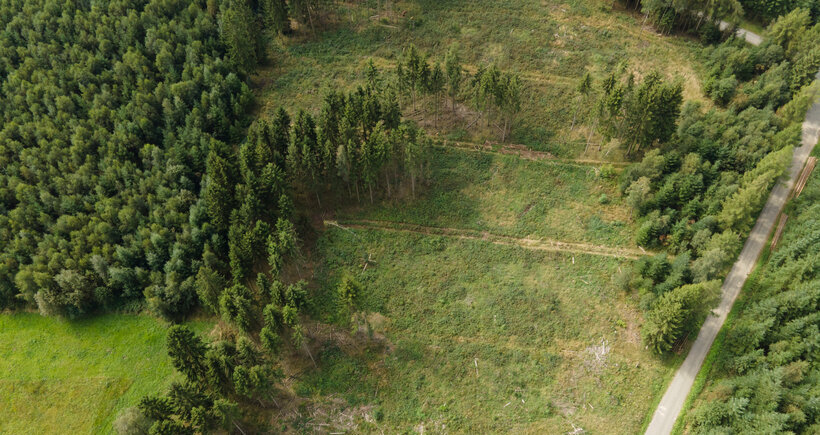 Auf einer Fläche von 1,7 Hektar entsteht der Neuenrader Bürgerwald.