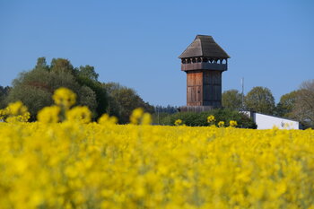 Motte Motte