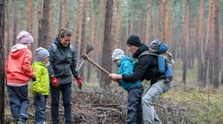 Bergwaldprojekt Bergwaldprojekt